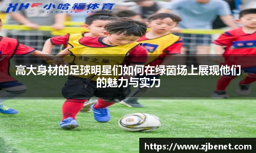 贝博BB艾弗森官网